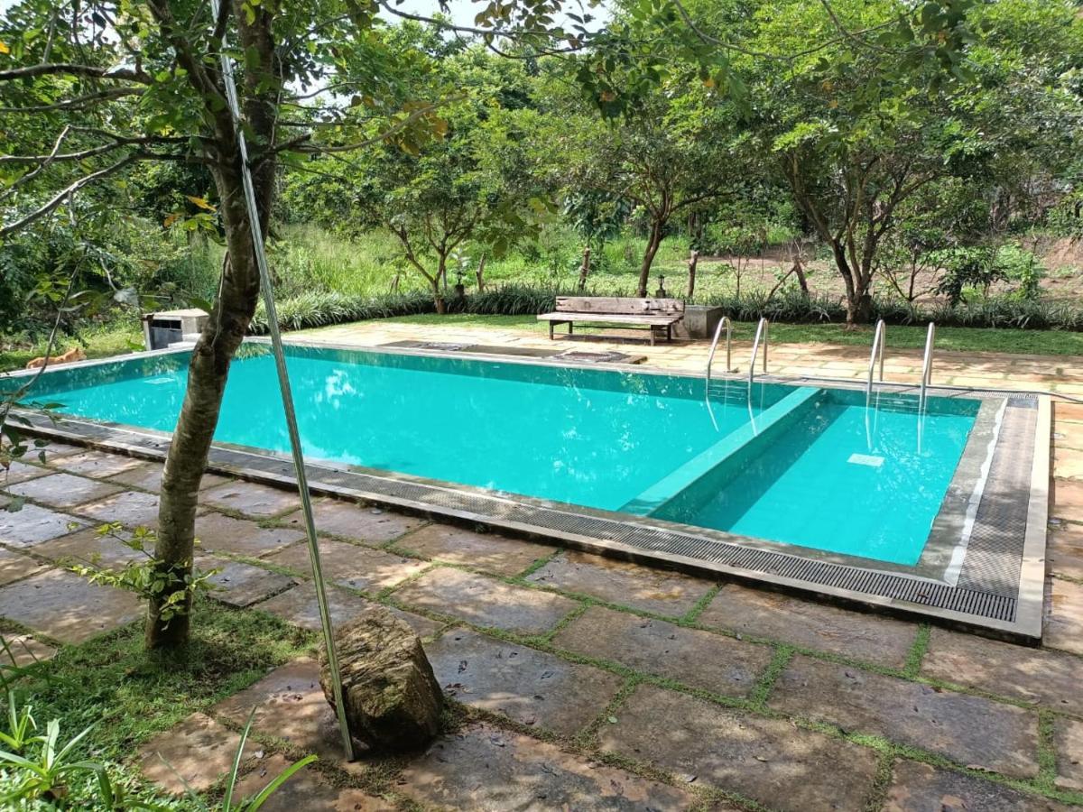 Spice Village Hotel & Restaurant Habarana Exterior photo